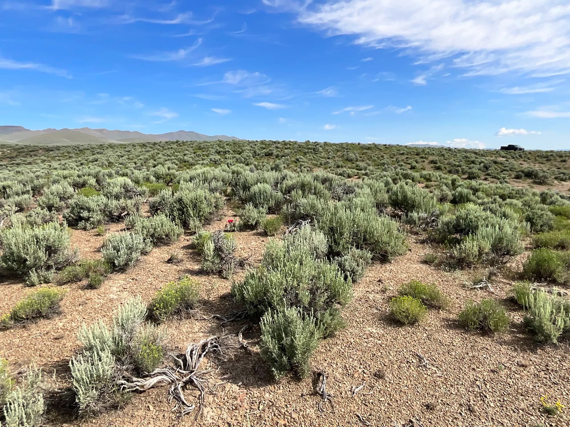 40 Acres in Elko County, NV in Elko County, NV