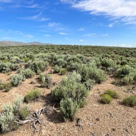 40 Acres in Elko County, NV in Elko County, NV