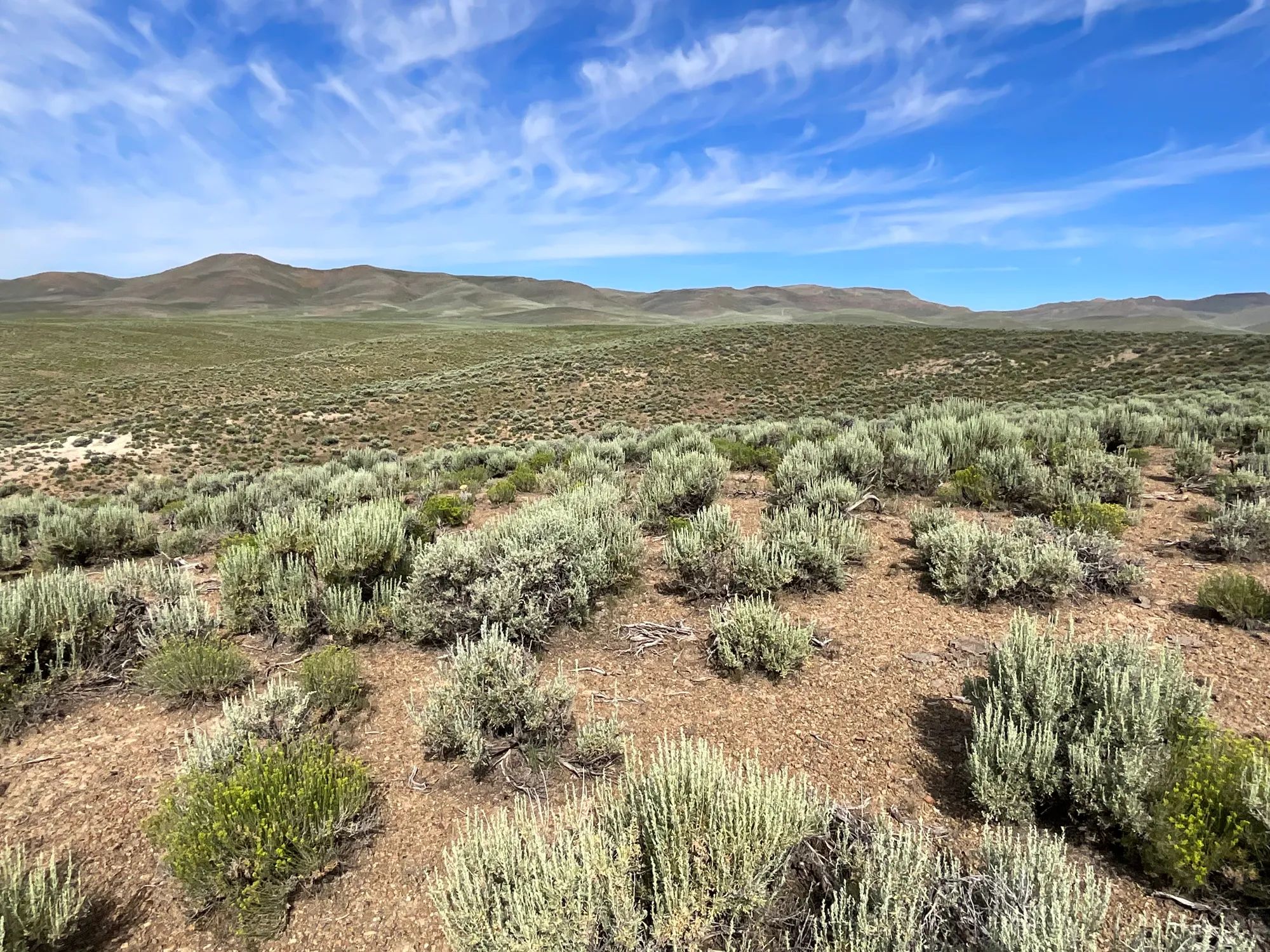 40 Acres in Elko County, NV in Elko County, NV