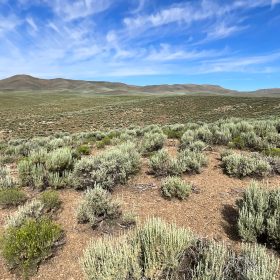 40 Acres in Elko County, NV in Elko County, NV
