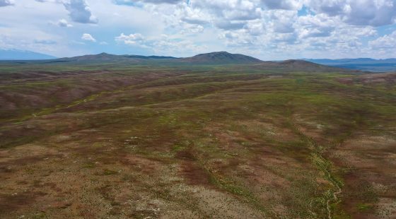 40 Acres in Elko County, NV in Elko County, NV