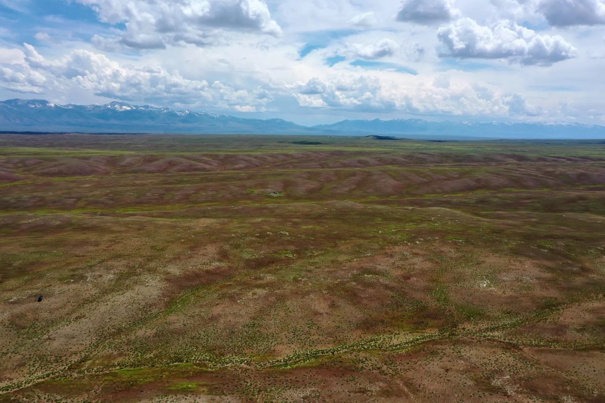 40 Acres in Elko County, NV - Image 3
