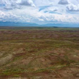 40 Acres in Elko County, NV in Elko County, NV
