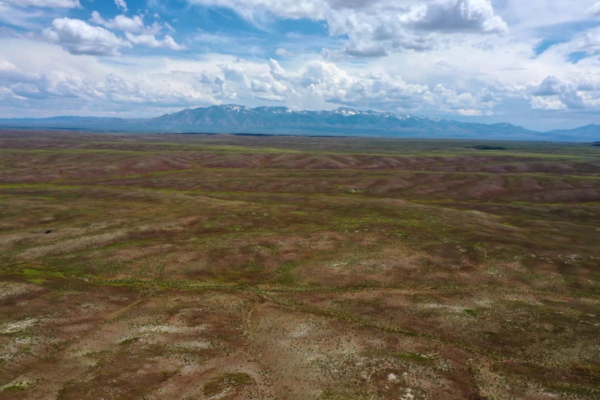 Decorative background for 40 Acres in Elko County, NV image 5