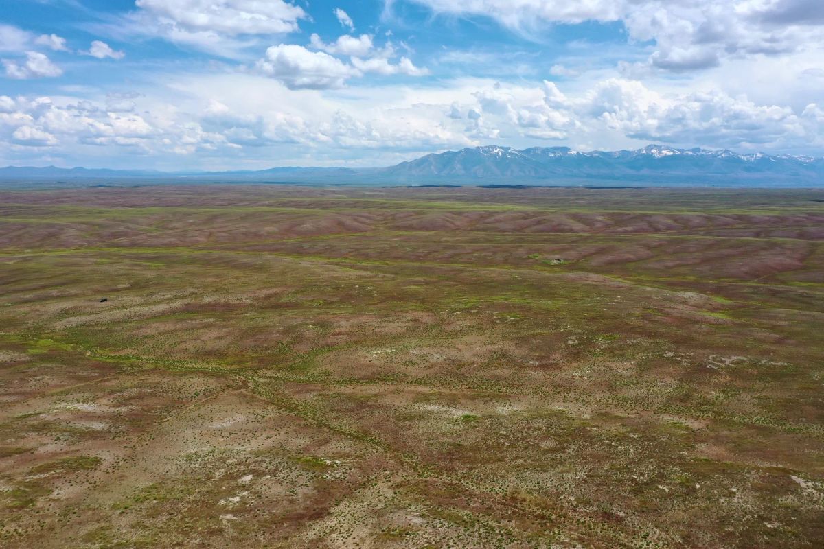 Decorative background for 40 Acres in Elko County, NV image 6
