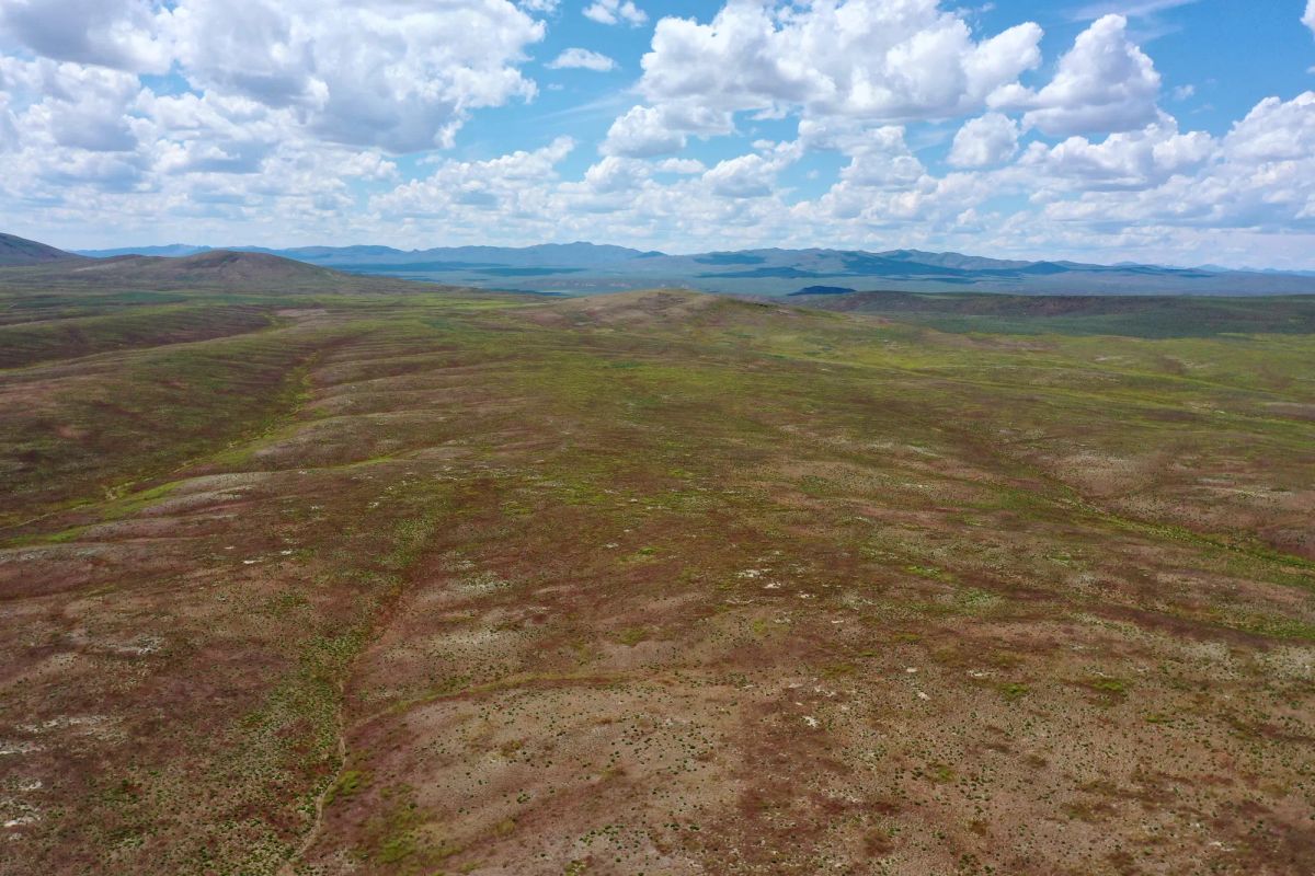 Decorative background for 40 Acres in Elko County, NV image 7