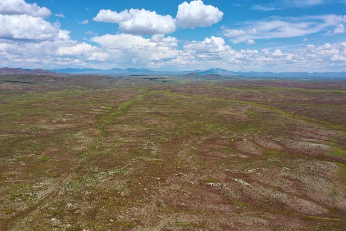 Decorative background for 40 Acres in Elko County, NV image 9