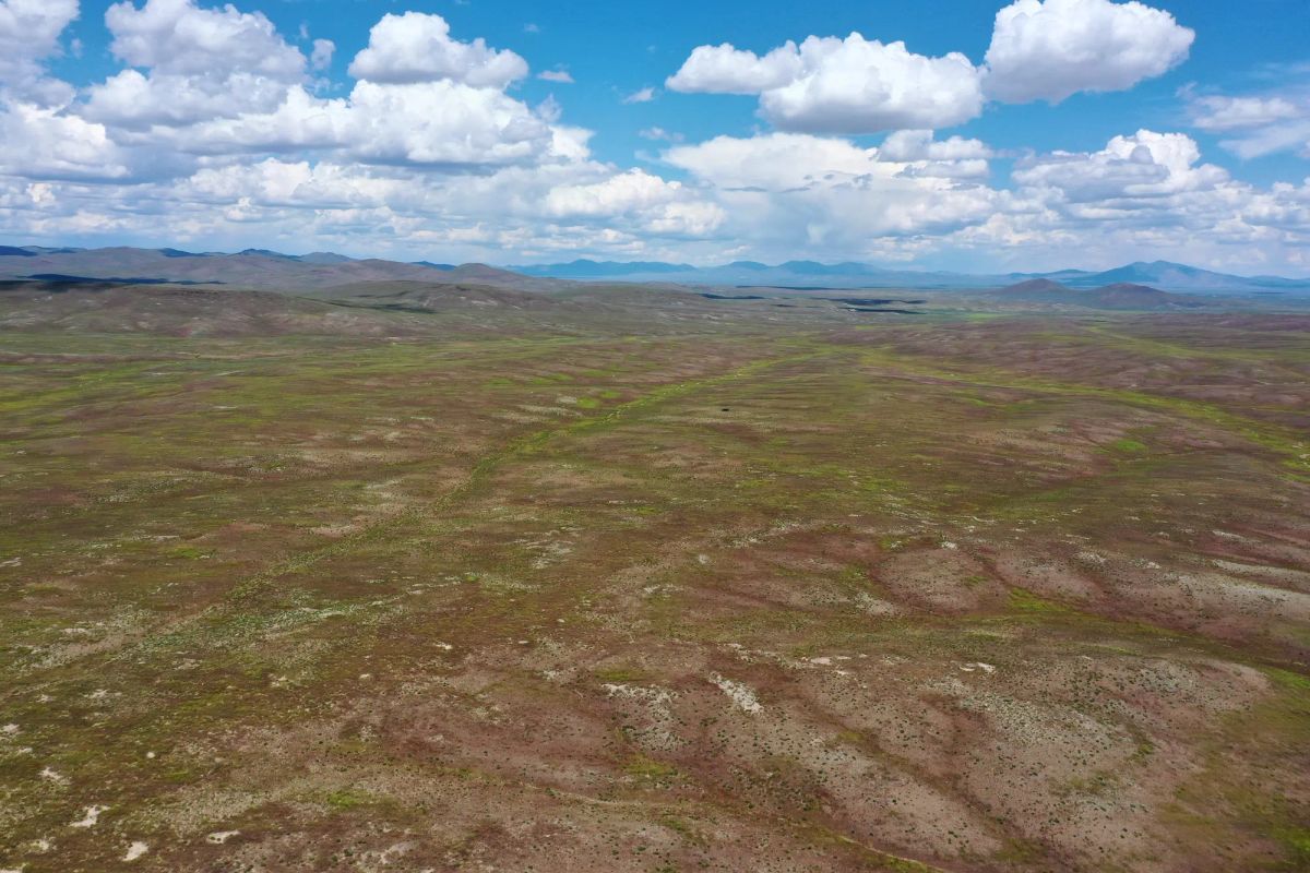Decorative background for 40 Acres in Elko County, NV image 10