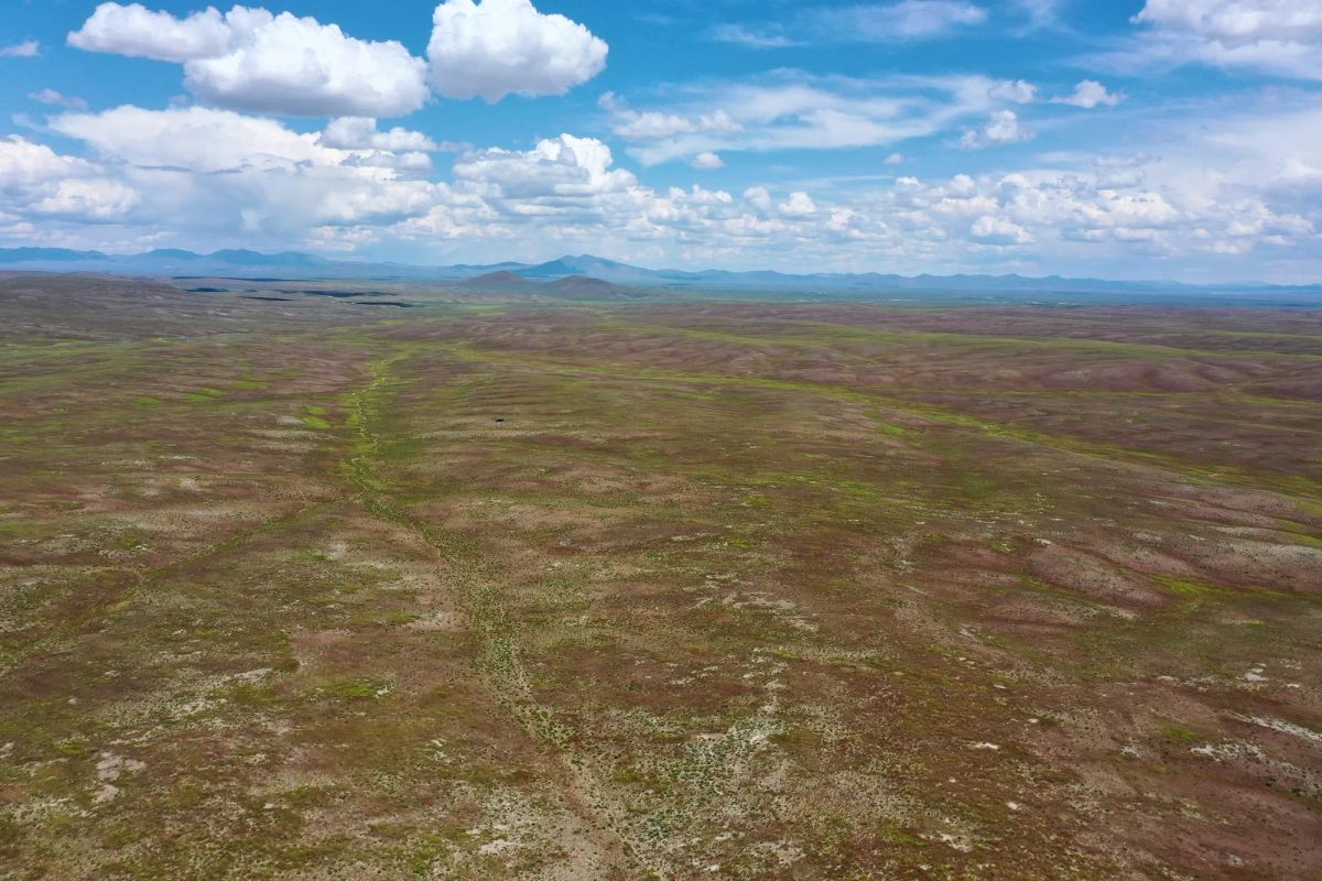 Decorative background for 40 Acres in Elko County, NV image 11