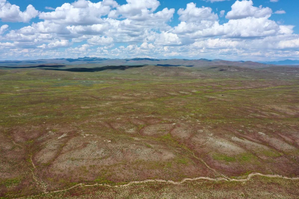 Decorative background for 40 Acres in Elko County, NV image 12
