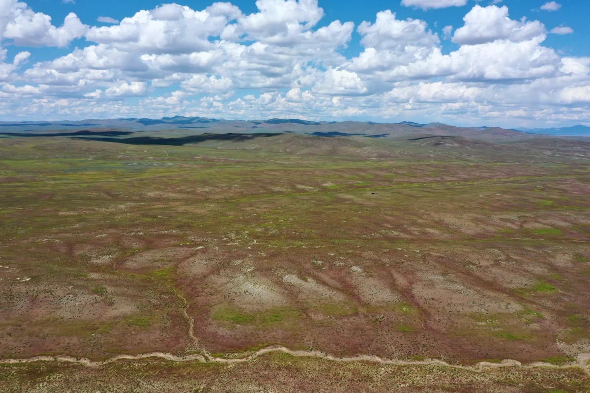 Decorative background for 40 Acres in Elko County, NV image 14