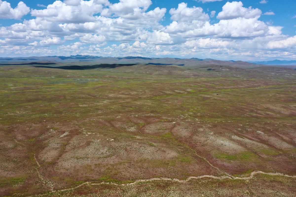 Decorative background for 40 Acres in Elko County, NV image 15