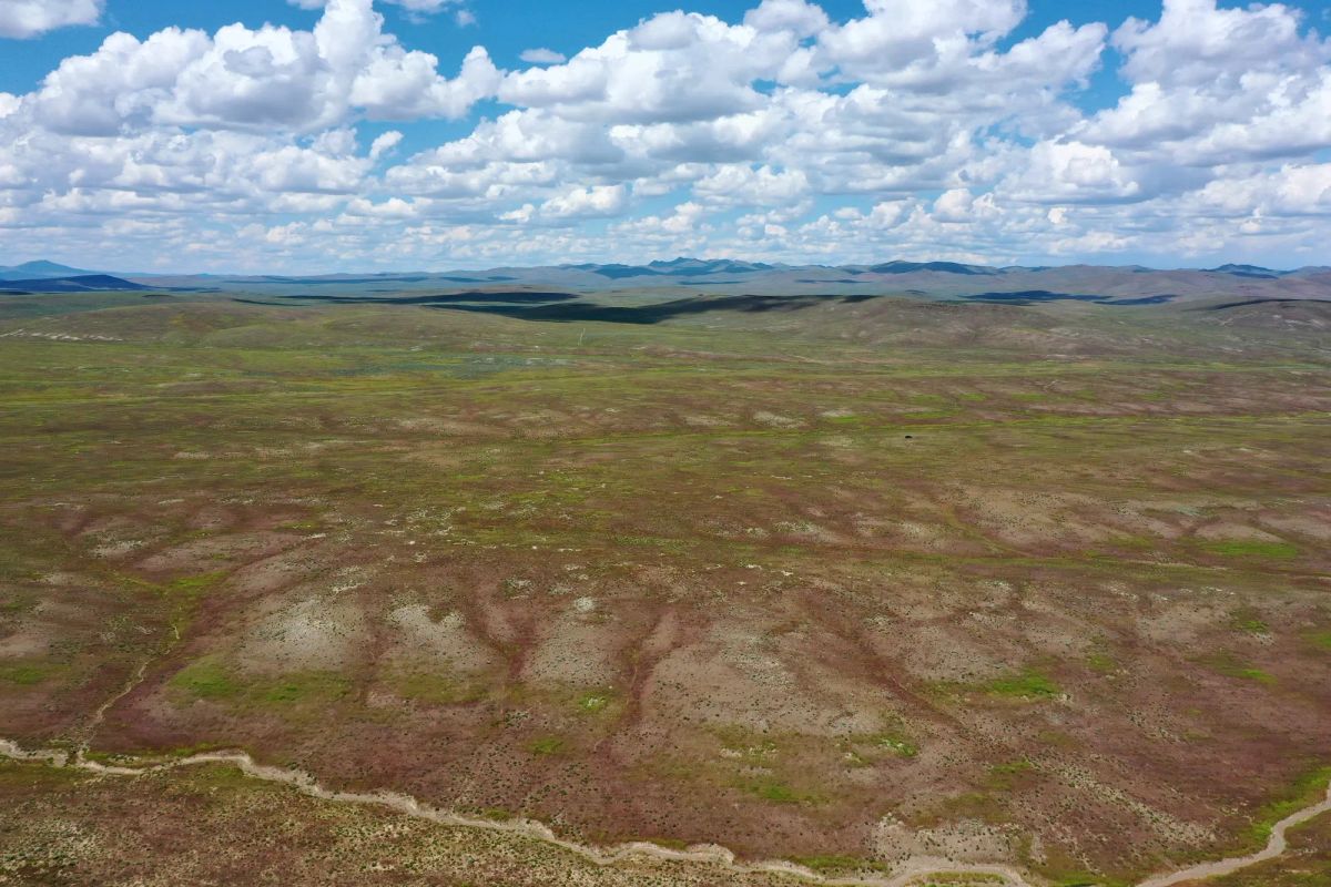 Decorative background for 40 Acres in Elko County, NV image 16