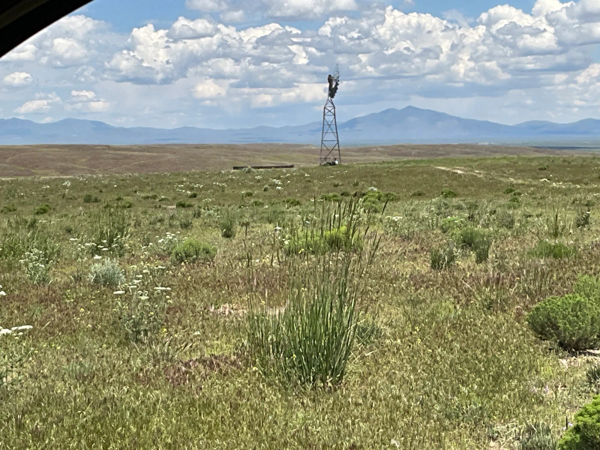 Decorative background for 40 Acres in Elko County, NV image 17