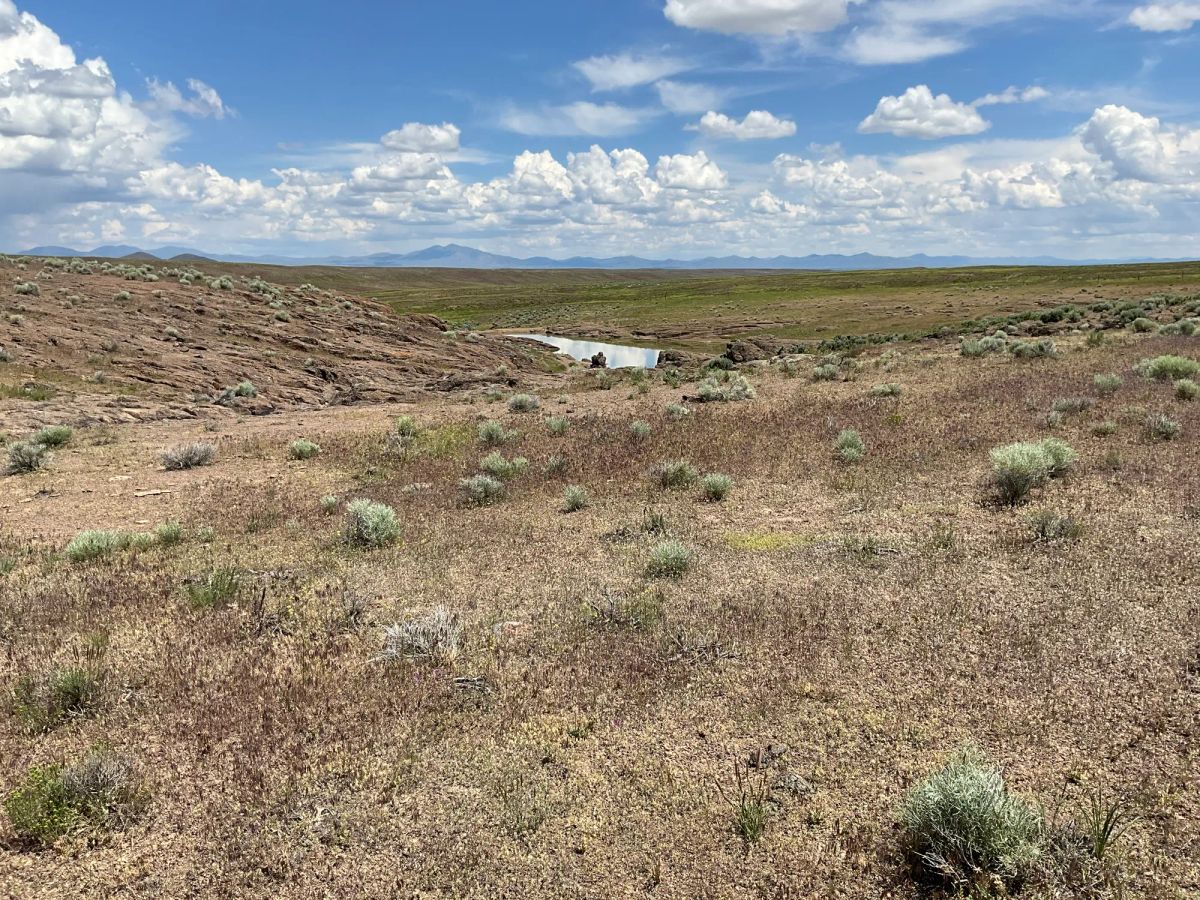 Decorative background for 40 Acres in Elko County, NV image 20