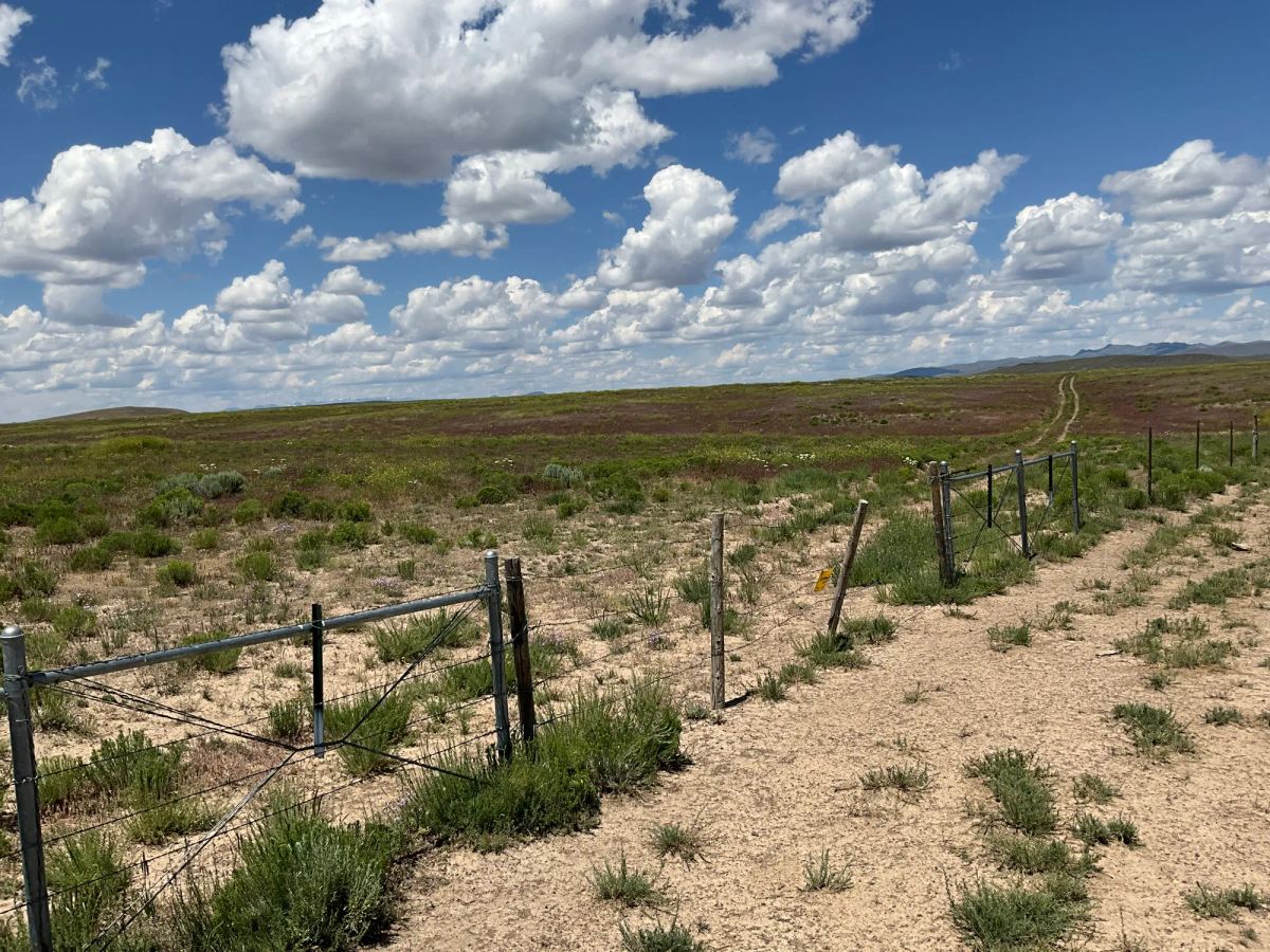 Decorative background for 40 Acres in Elko County, NV image 21