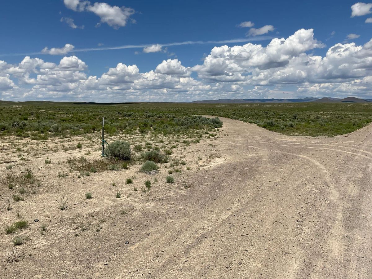 Decorative background for 40 Acres in Elko County, NV image 31