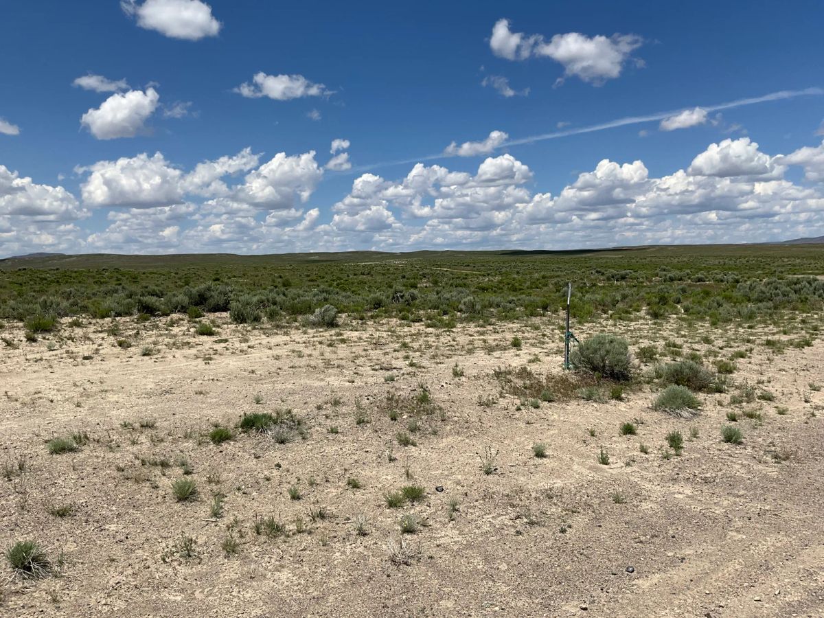 Decorative background for 40 Acres in Elko County, NV image 32