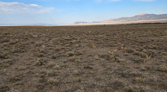 10 Acres in Elko County, NV in Elko County, NV