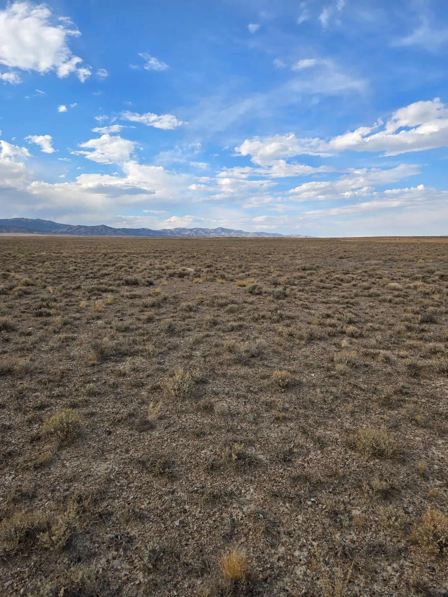 10 Acres in Elko County, NV in Elko County, NV