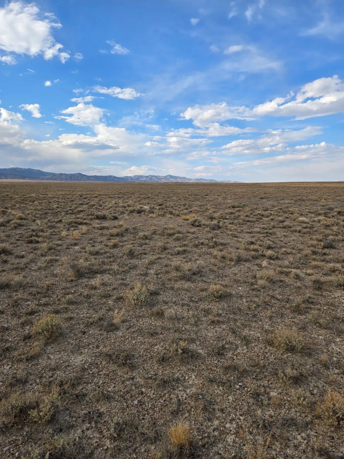 10 Acres in Elko County, NV - Image 3