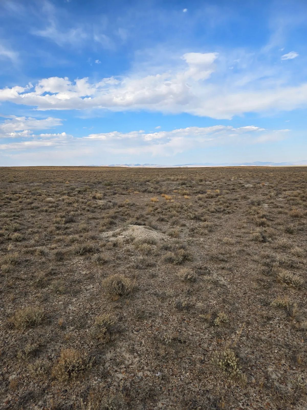 Decorative background for 10 Acres in Elko County, NV image 5