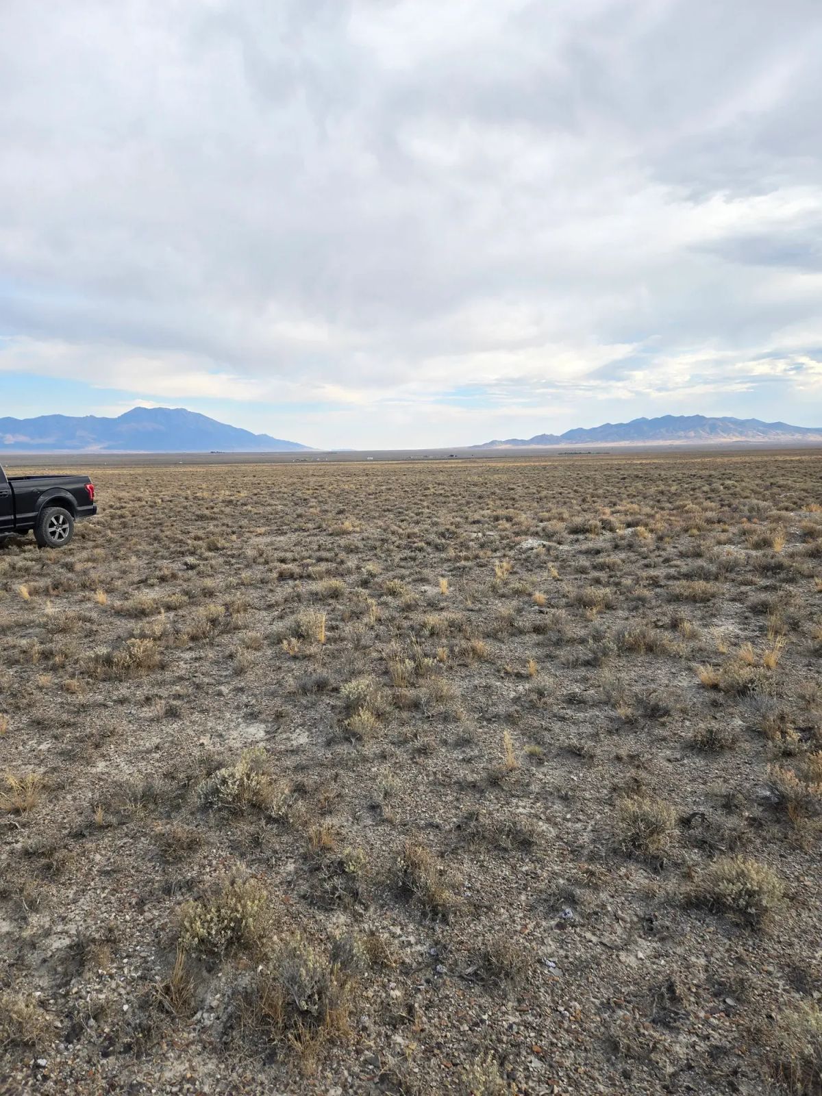 Decorative background for 10 Acres in Elko County, NV image 6