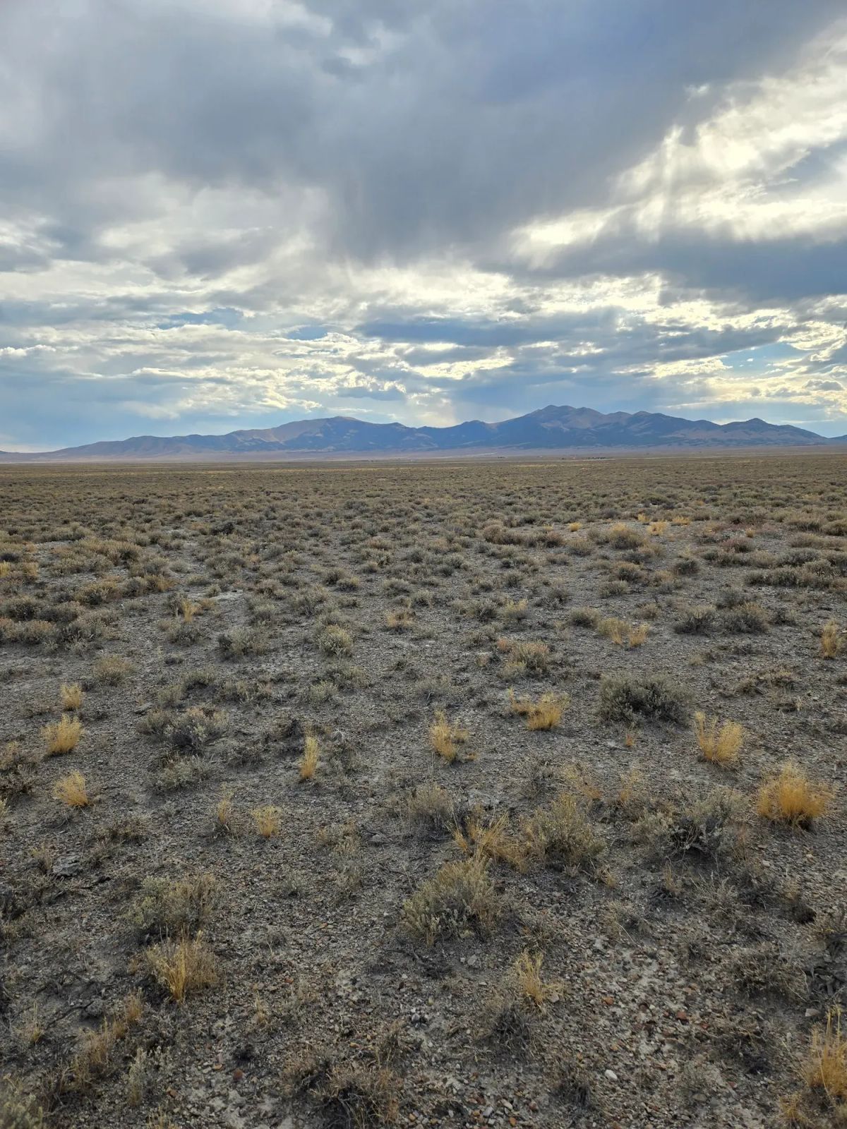Decorative background for 10 Acres in Elko County, NV image 7