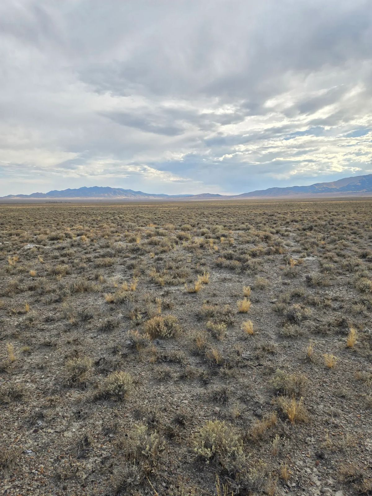 Decorative background for 10 Acres in Elko County, NV image 9