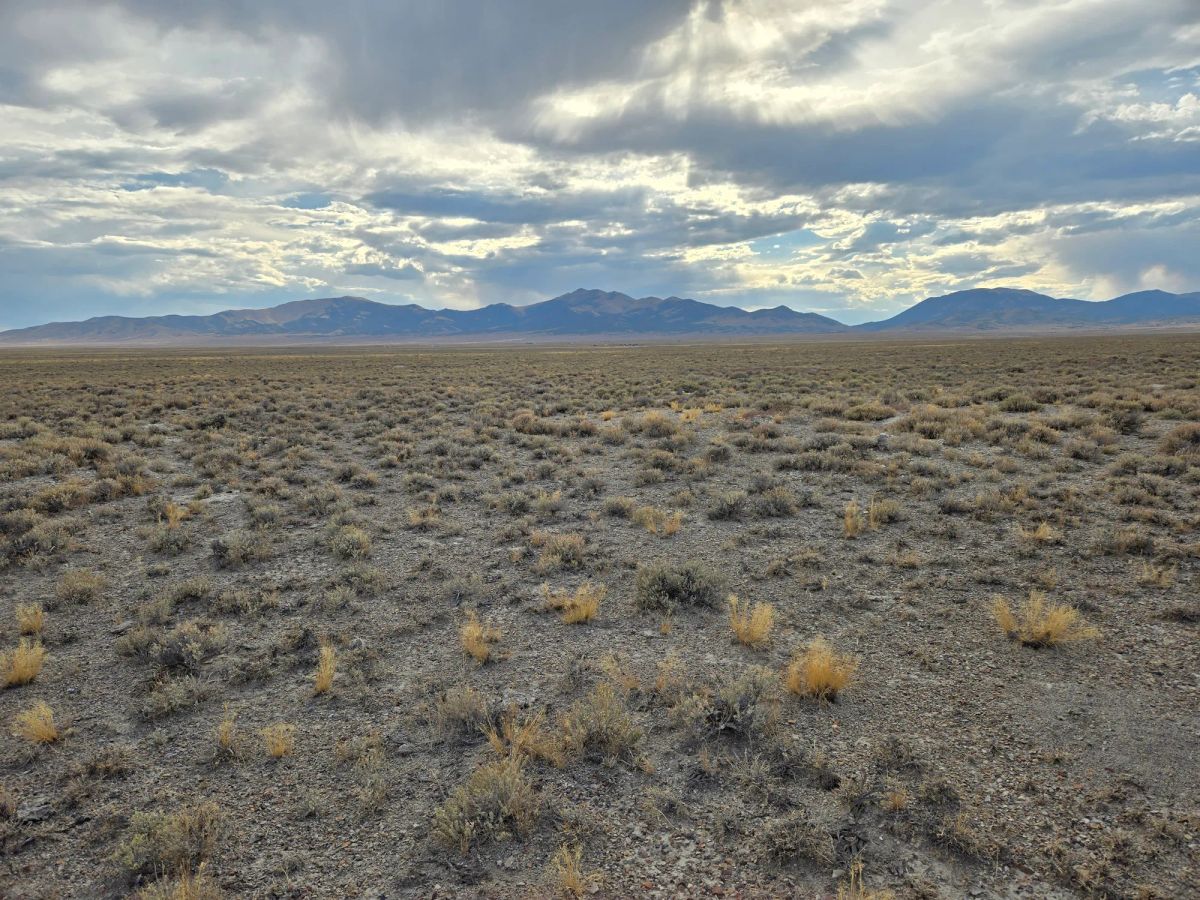 Decorative background for 10 Acres in Elko County, NV image 10