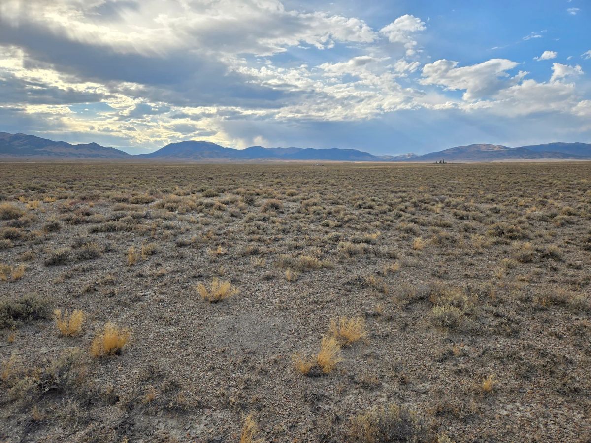 Decorative background for 10 Acres in Elko County, NV image 11
