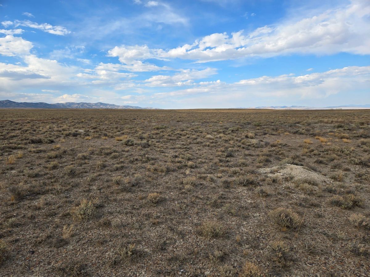 Decorative background for 10 Acres in Elko County, NV image 12