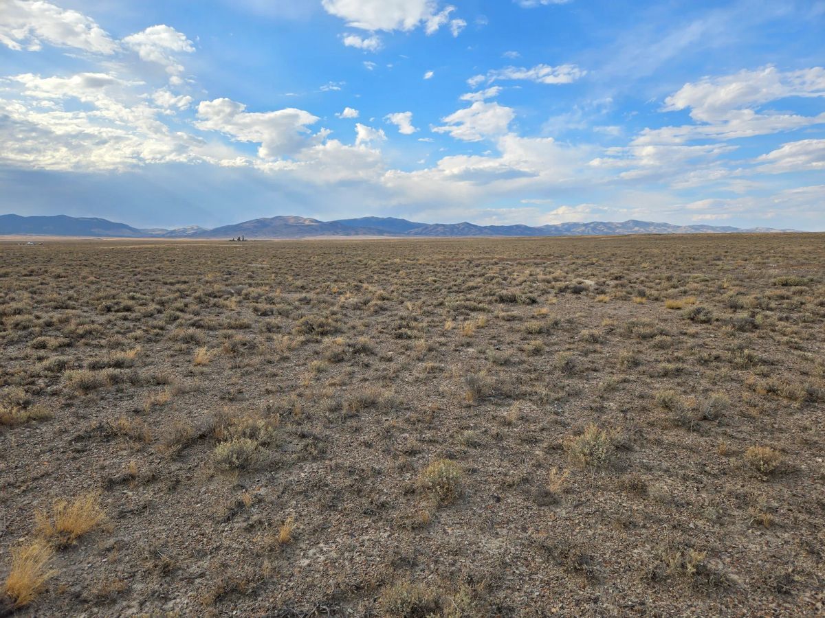 Decorative background for 10 Acres in Elko County, NV image 13