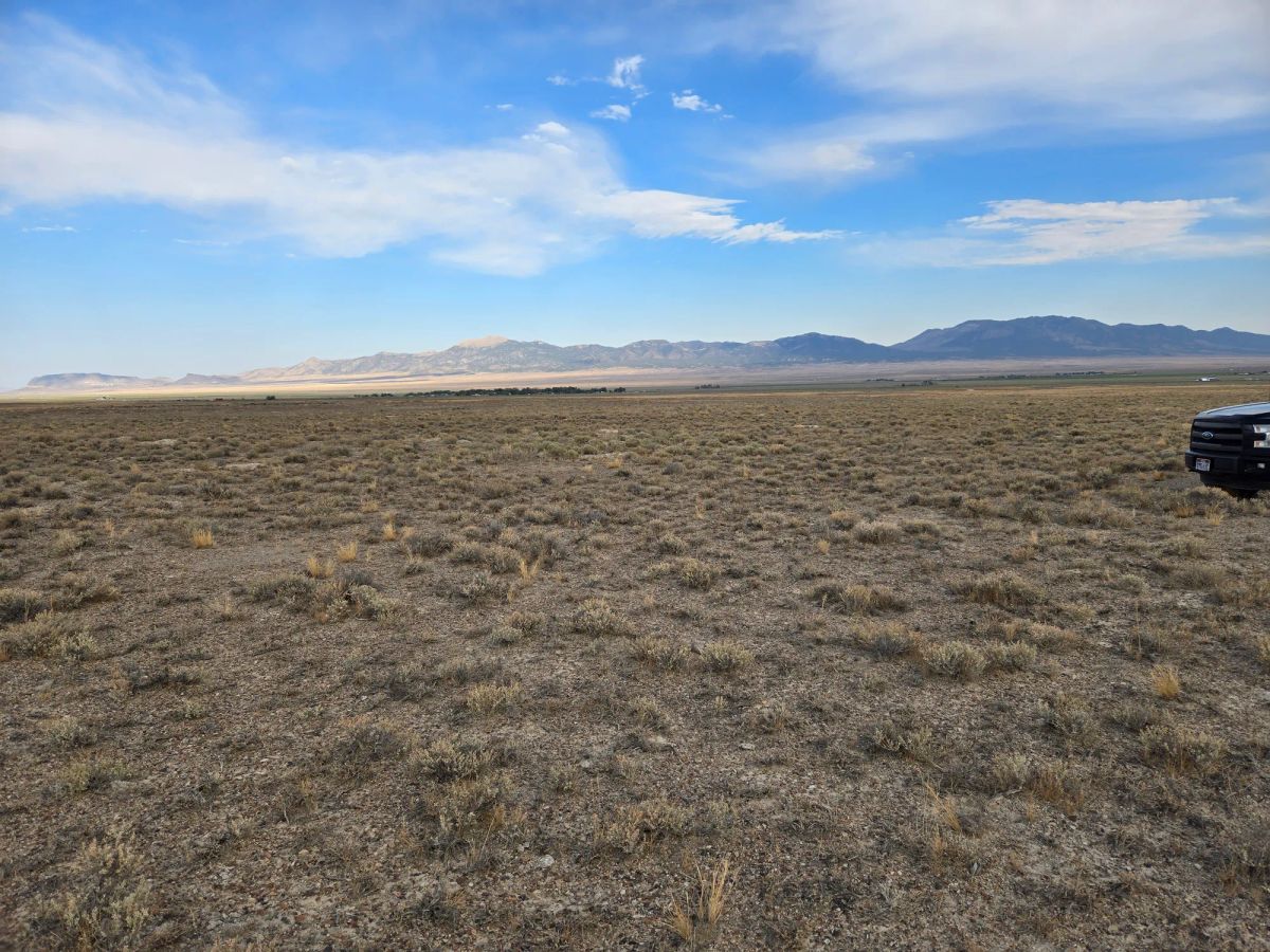 Decorative background for 10 Acres in Elko County, NV image 14