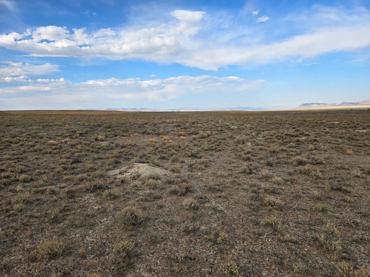 Decorative background for 10 Acres in Elko County, NV image 15