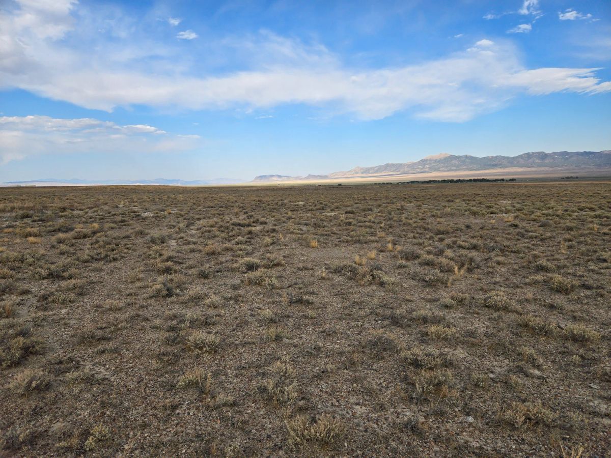 Decorative background for 10 Acres in Elko County, NV image 16