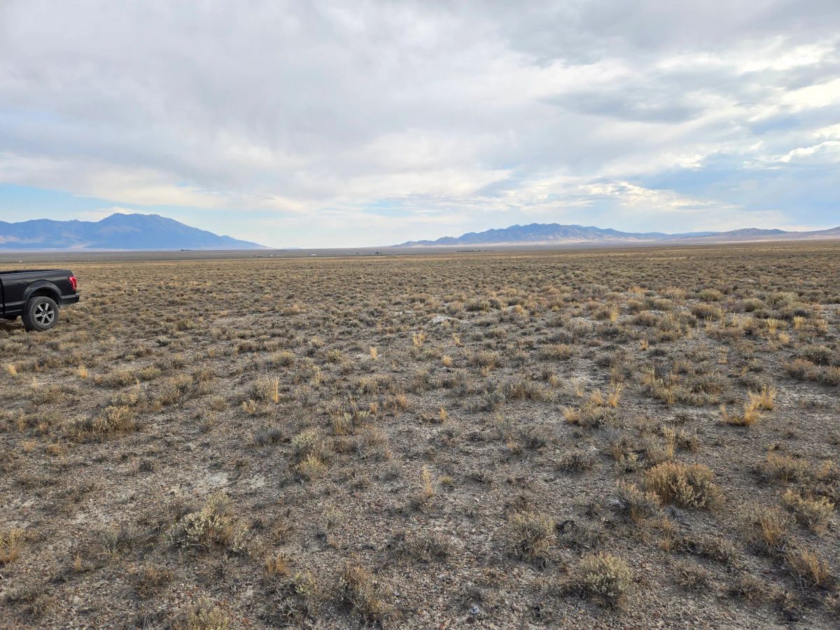 Decorative background for 10 Acres in Elko County, NV image 17
