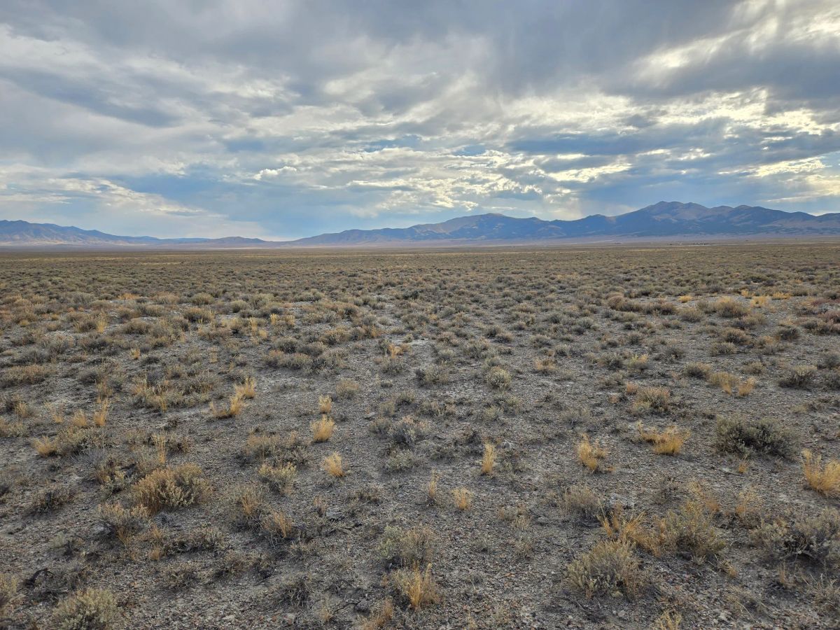 Decorative background for 10 Acres in Elko County, NV image 19