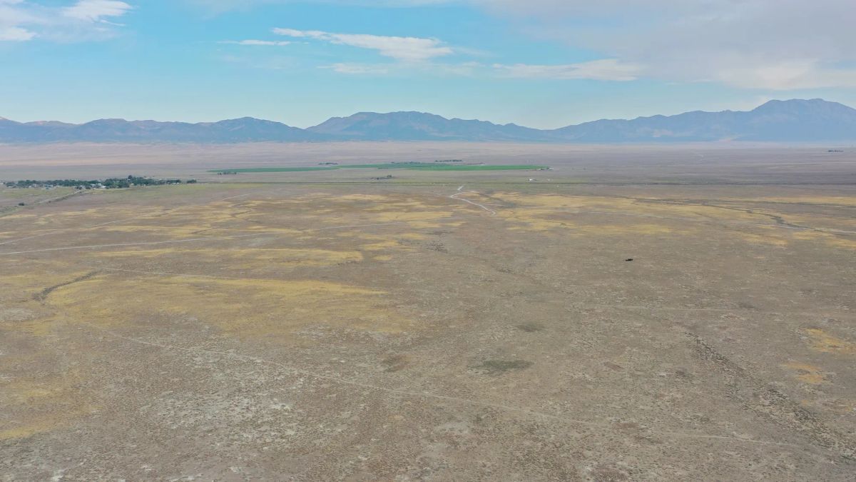 Decorative background for 10 Acres in Elko County, NV image 21
