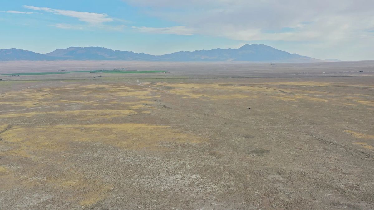 Decorative background for 10 Acres in Elko County, NV image 22