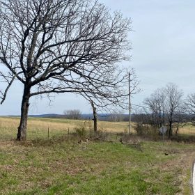 0.09 Acres in Ozark County, MO in Ozark County, MO