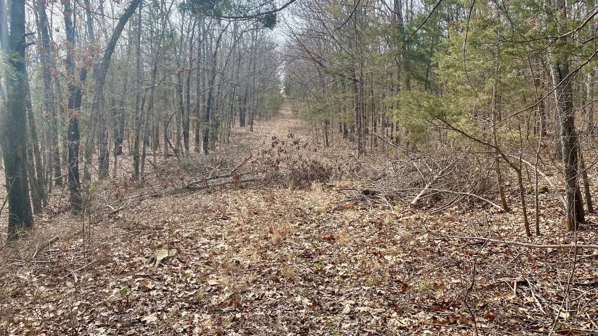 0.09 Acres in Ozark County, MO in Ozark County, MO