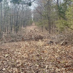 0.09 Acres in Ozark County, MO in Ozark County, MO