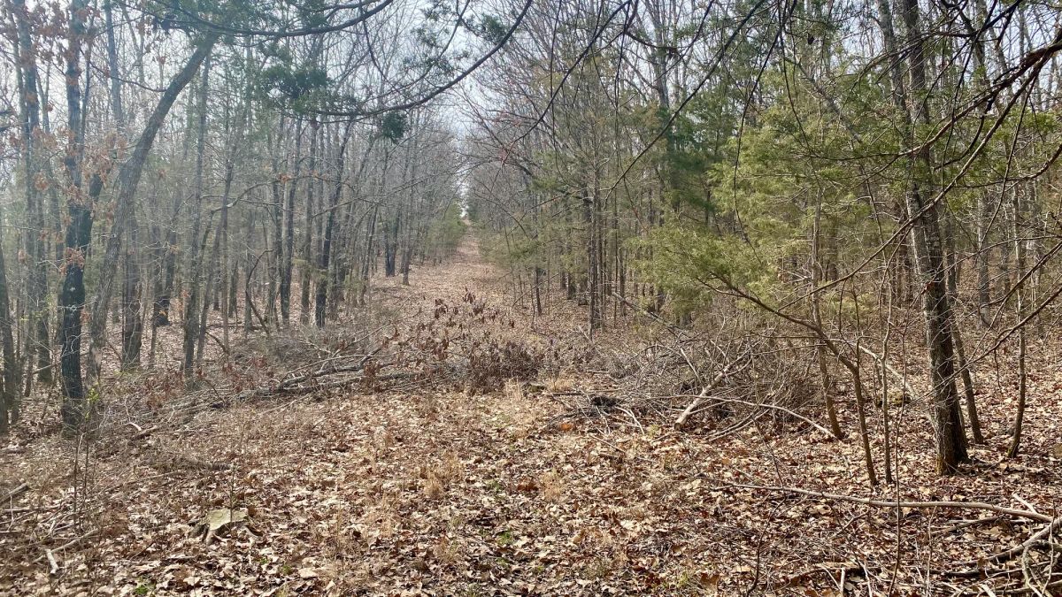 Decorative background for 0.09 Acres in Ozark County, MO image 5