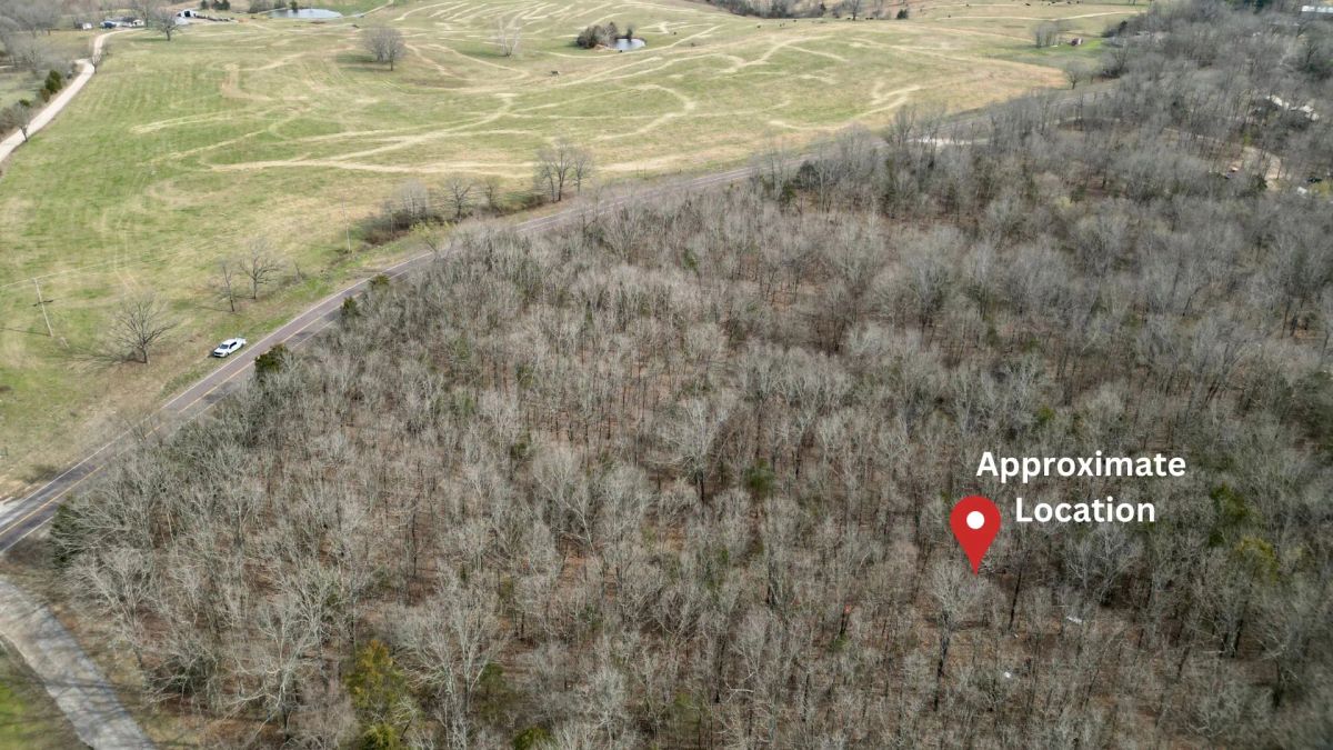 Decorative background for 0.09 Acres in Ozark County, MO image 6