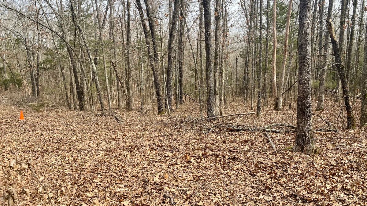 Decorative background for 0.09 Acres in Ozark County, MO image 10