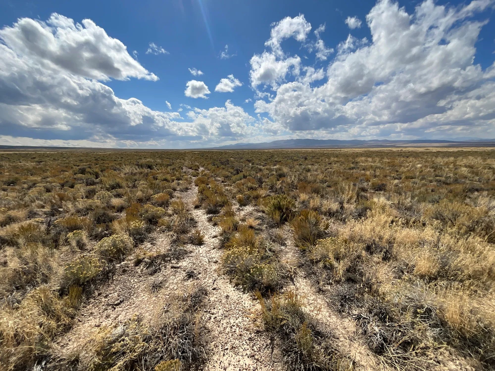 10 Acres in Elko County, NV in Elko County, NV