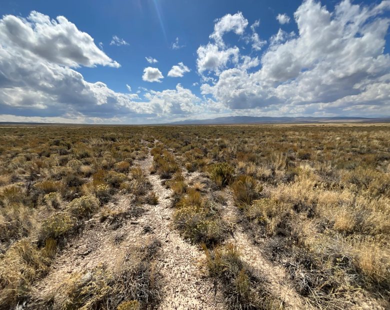 10 Acres in Elko County, NV in Elko County, NV
