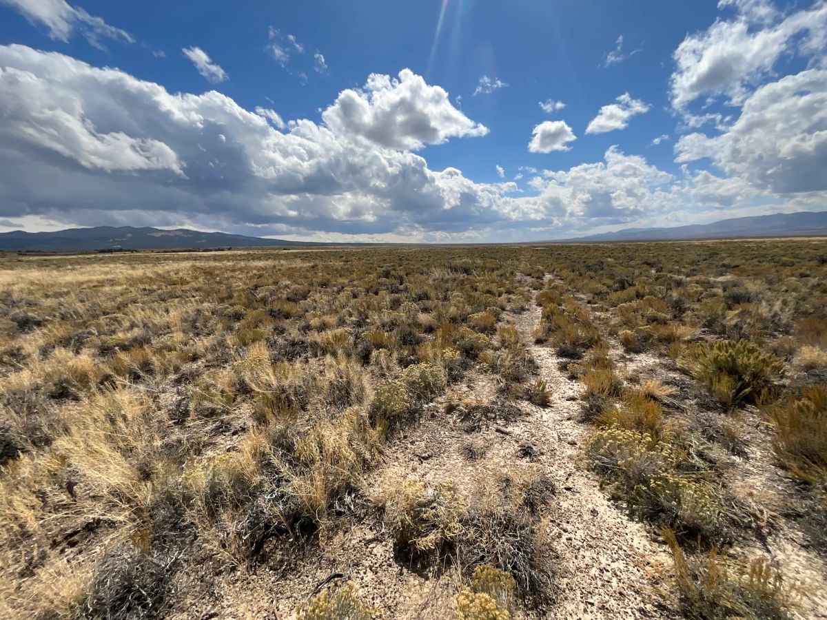 10 Acres in Elko County, NV - Image 3