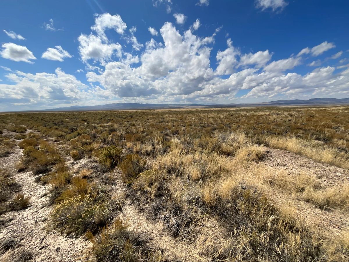 10 Acres in Elko County, NV - Image 4
